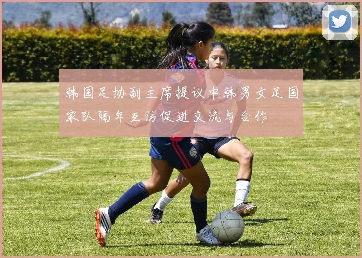韩国足协副主席提议中韩男女足国家队隔年互访促进交流与合作