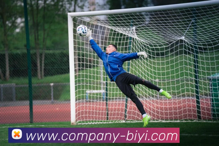 必一运动平台生态图